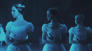 ballerinas stand on stage in a frozen pose during a ballet performance. video