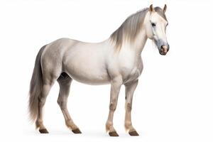 ai generado caballo aislado en blanco antecedentes foto