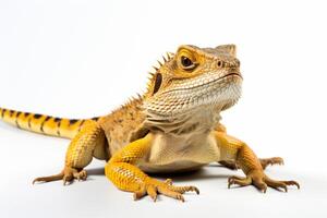 AI generated lizard isolated on a white background photo