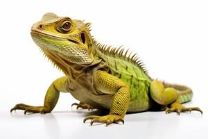 AI generated lizard isolated on a white background photo