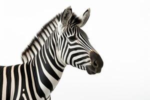 AI generated zebra isolated on white background photo