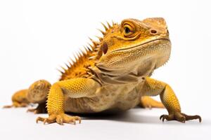 AI generated lizard isolated on a white background photo