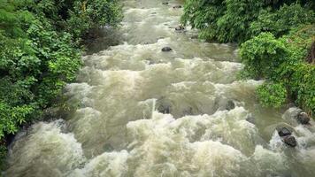 natural río corriente en bogor tropical bosque en Asia, hermosa paisaje de agua fluido video