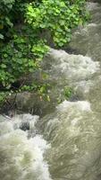 natürlich Fluss Strom im bogor tropisch Wald im Asien, schön Landschaft von Wasser fließend video