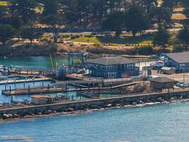 Beautiful aerial view of the Monterey town in California photo