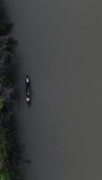 vertical zumbido imágenes de pequeño pescar barcos flotante en el río en el bosque video