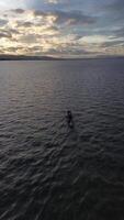 verticale fuco metraggio di pescatore su il suo barca nel il lago video