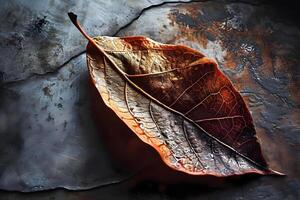 AI generated a brown leaf laying on top of a rock photo