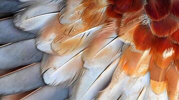 AI generated the feathers of a bird are orange and white photo