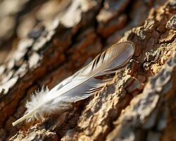 ai generado un pluma descansando en el ladrar de un árbol foto