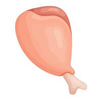 Meat product, raw chicken drumstick in vector format