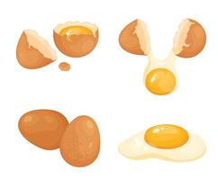 Set of chicken eggs in whole and broken condition. vector