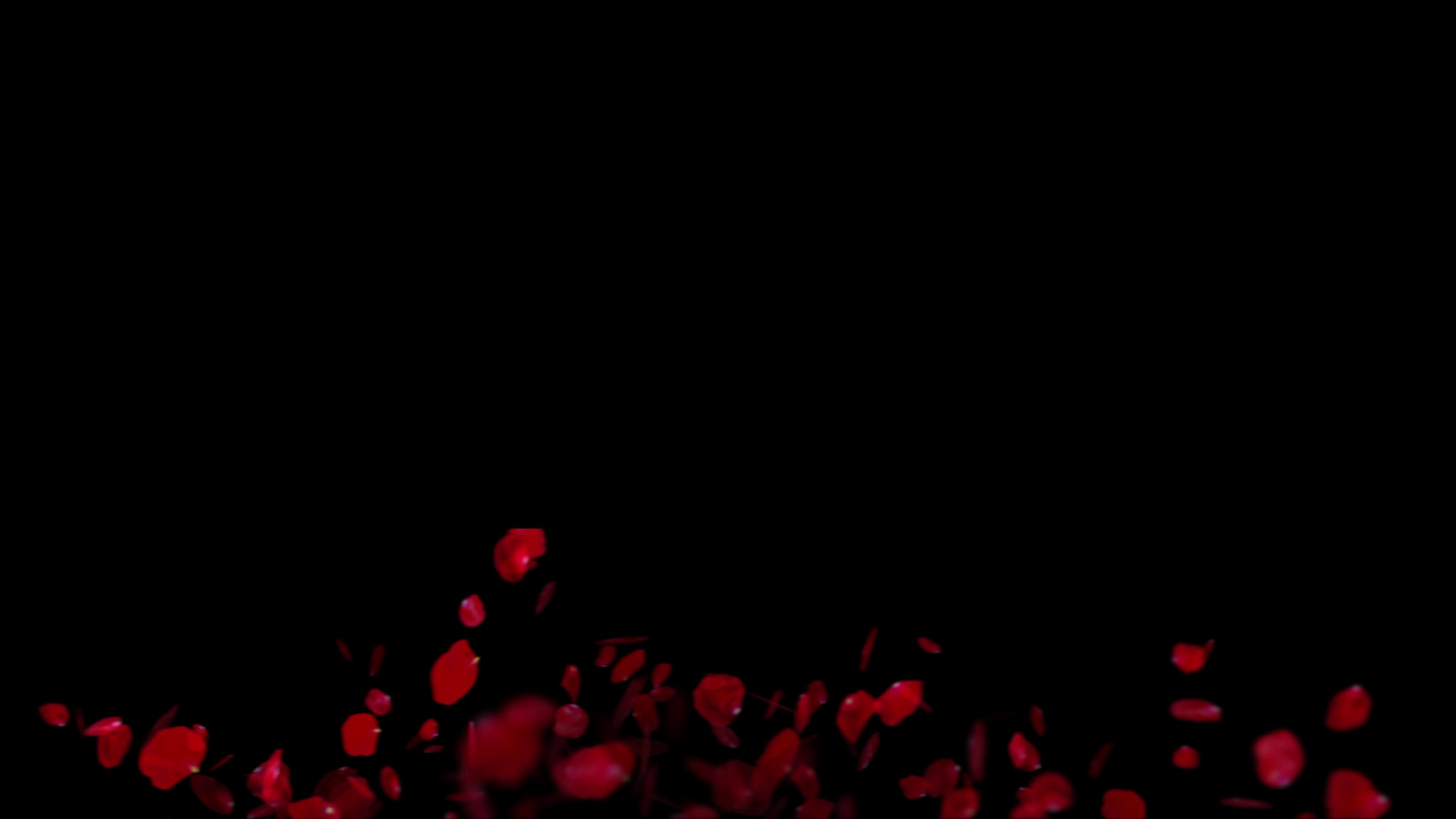Red And Black Animated Background Stock Video Footage for Free Download