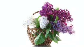 ramo de flores de diferente floreciente primavera lilas en cesta aislado en blanco antecedentes video