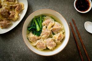 pork wonton soup or pork dumplings soup with vegetable photo