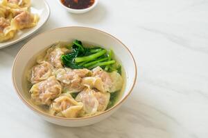 pork wonton soup or pork dumplings soup with vegetable photo