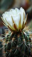 AI generated a white flower on top of a green cactus photo