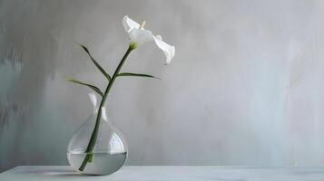 AI generated a single white flower in a glass vase photo