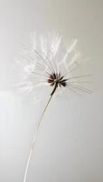 AI generated a dandelion is blowing in the wind photo