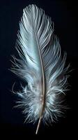 AI generated a white feather on a black background photo