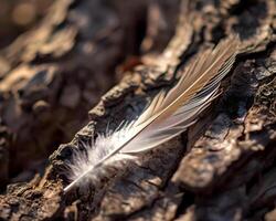 AI generated a white feather resting on a piece of wood photo