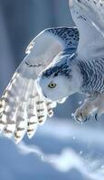 AI generated an owl flying through the air with its wings spread photo