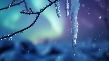 AI generated a frozen tree branch with icicles hanging from it photo