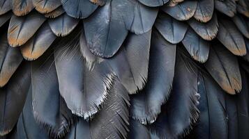 AI generated a close up of the feathers of a bird photo