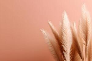 AI generated White fluffy pampas grass background photo