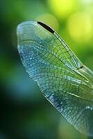 AI generated a close up of a dragonfly on a leaf photo
