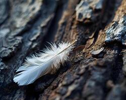 AI generated a white feather resting on a piece of wood photo