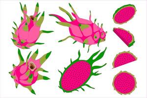 Dragon fruits, pitaya slices and fruits set. Hand drawn graphic summer collection. Healthy food elements. vector