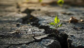 ai generado un pequeño verde planta brotante desde el suelo foto