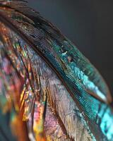 AI generated a close up of a colorful feather on a black background photo