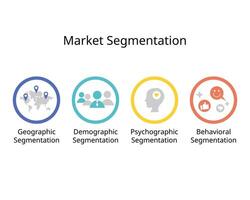 type of market segmentation for Demographic, psychographic, behavioral and geographic segmentation vector