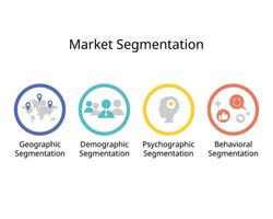 type of market segmentation for Demographic, psychographic, behavioral and geographic segmentation vector