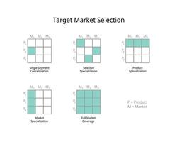 objetivo mercado selección de soltero segmento concentración, selectivo especialización, mercado especialización, producto especialización, lleno cobertura vector