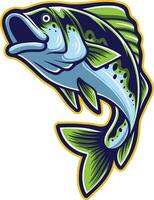 vector illustration of largemouth bass fish