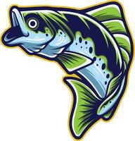 vector illustration of largemouth bass fish