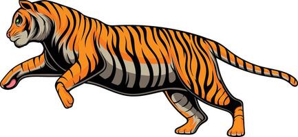 ilustración vectorial de tigre vector