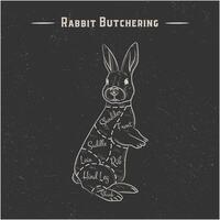 Cutting scheme rabbit in vector style - white lines on gray background with grunge texture,