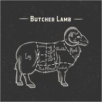 Meat cuts. Cuts of Mutton. Sheep silhouette isolated on white background. Vintage Poster for butcher shop. Retro diagram. Vector illustration