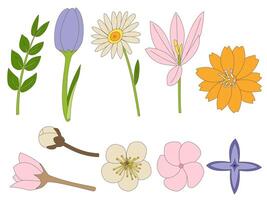 un conjunto de primavera elementos tal como naranja flor, margarita, azafrán, manzana florecer, frangipani, tulipán, y otros en un dibujado a mano mínimo floral concepto, vector