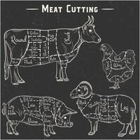 Animal meat cutting diagrams. Farm meat of cow, pig, lamb and chicken. Vector plcat in vintage style