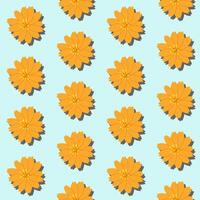 A seamless pattern of Cosmos on a blue background in a spring minimal floral concept, Vector