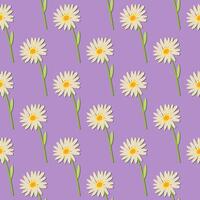 A seamless pattern of daisy on a purple background in a spring minimal floral concept, Vector