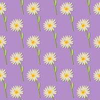 A seamless pattern of daisy on a purple background in a spring minimal floral concept, Vector