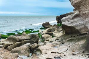 coast of the Caspian Sea with coastal rocks and stones covered with algae photo