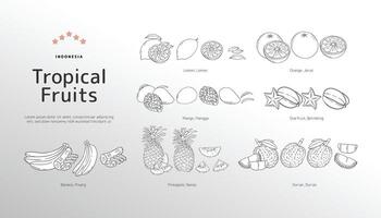 Isolated Tropical fruits outline illustration vector