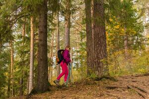 mujer trekking en el otoño bosque foto